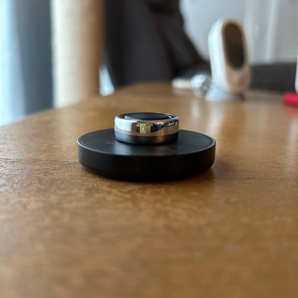 Oura Gen3 Horizon Silver, Size 6